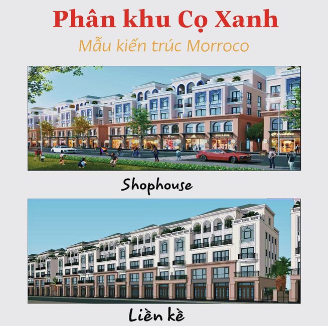 phân khu cọ xanh the empire vinhomes ocean park 1